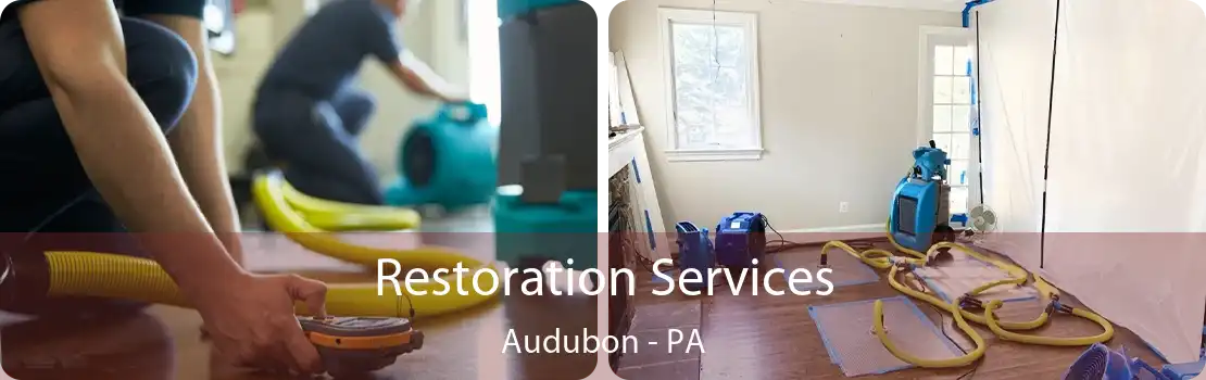 Restoration Services Audubon - PA