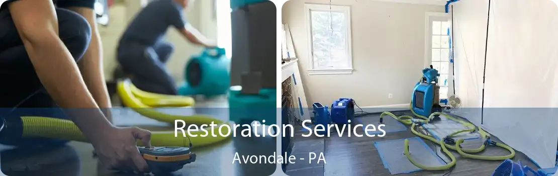 Restoration Services Avondale - PA