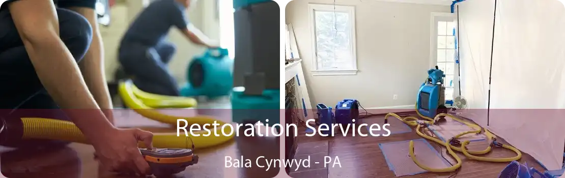 Restoration Services Bala Cynwyd - PA