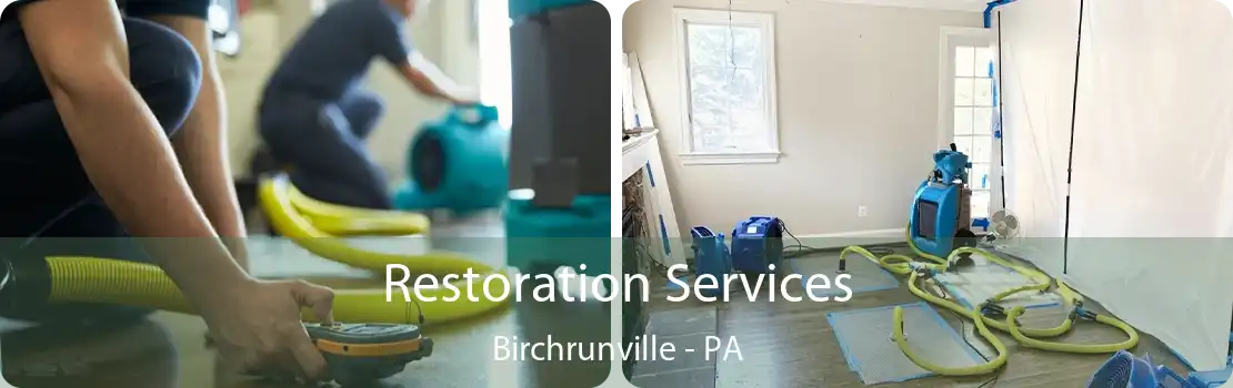 Restoration Services Birchrunville - PA