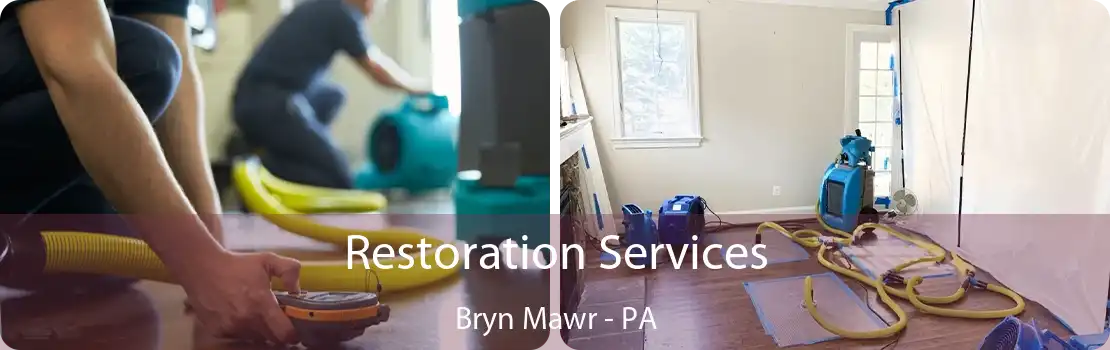 Restoration Services Bryn Mawr - PA