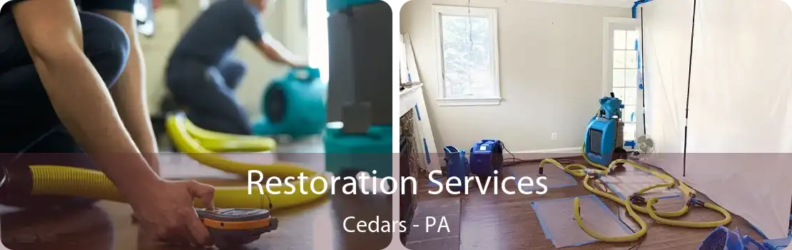 Restoration Services Cedars - PA