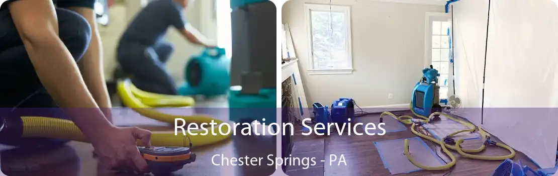Restoration Services Chester Springs - PA