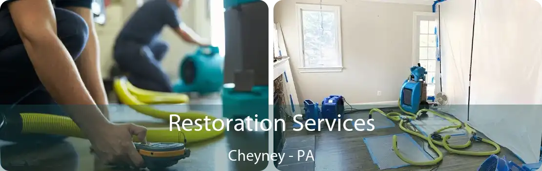 Restoration Services Cheyney - PA