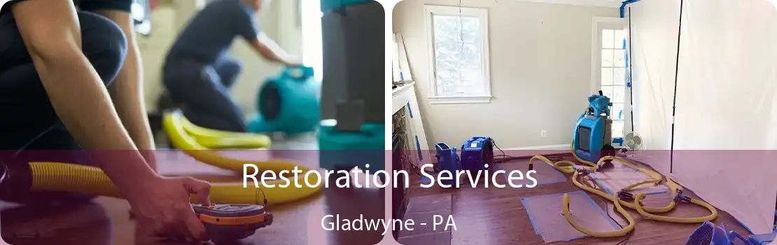 Restoration Services Gladwyne - PA