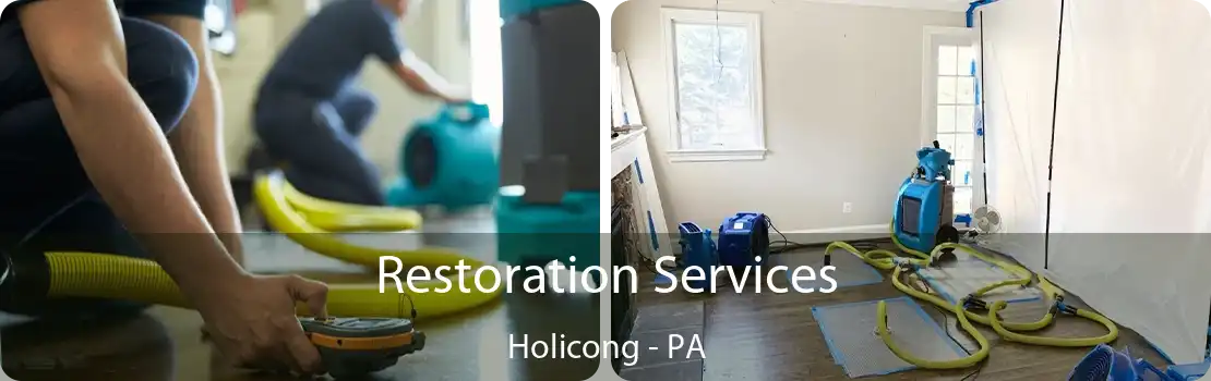 Restoration Services Holicong - PA