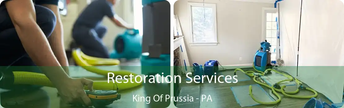 Restoration Services King Of Prussia - PA