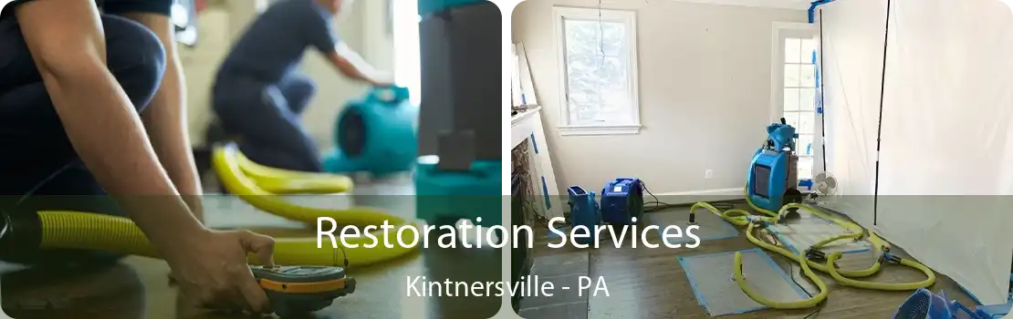 Restoration Services Kintnersville - PA