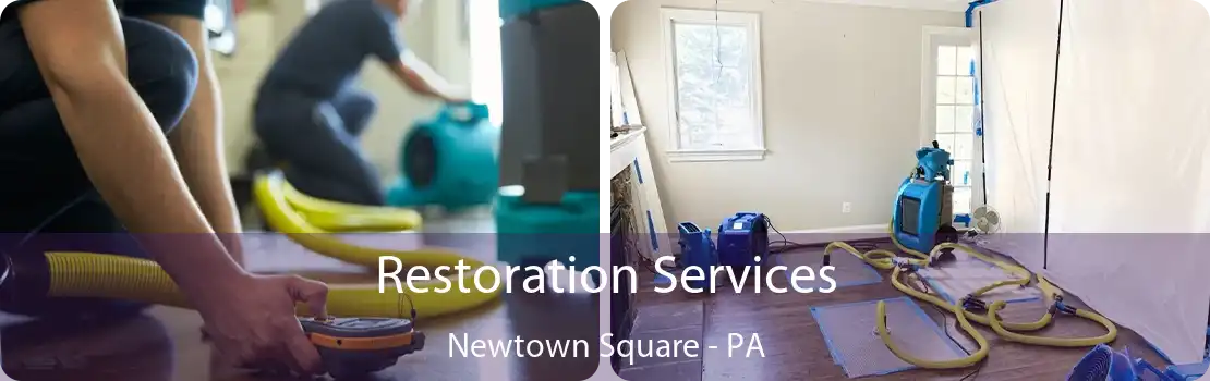 Restoration Services Newtown Square - PA