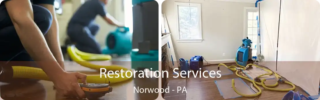 Restoration Services Norwood - PA