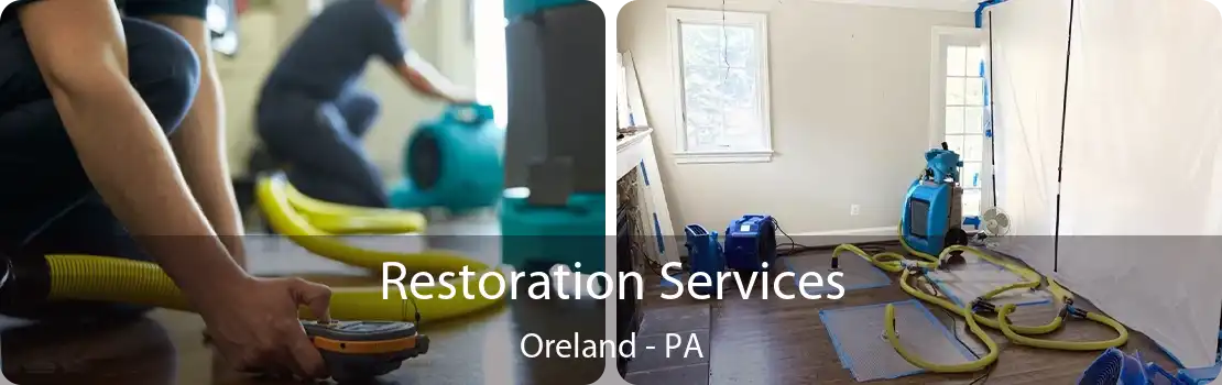 Restoration Services Oreland - PA
