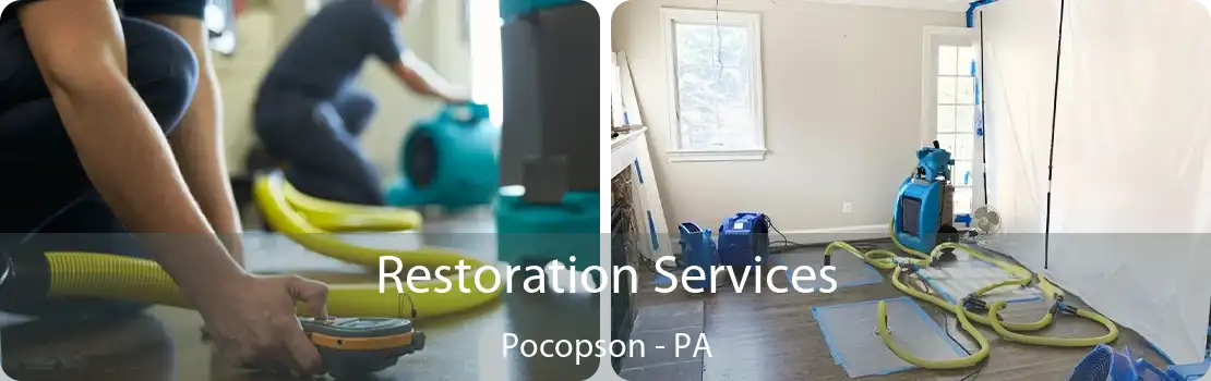 Restoration Services Pocopson - PA