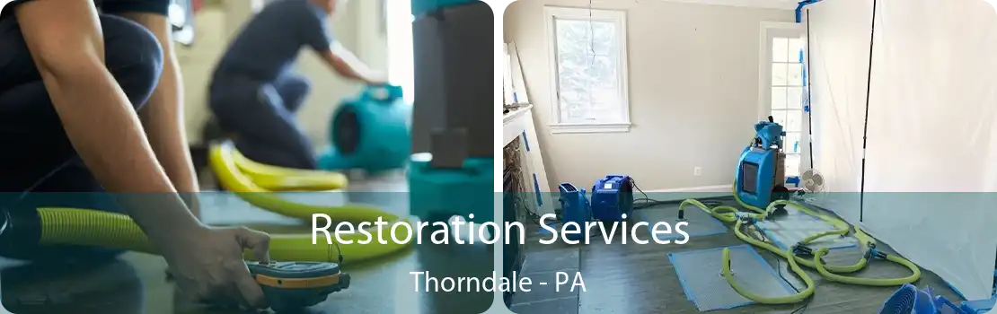 Restoration Services Thorndale - PA