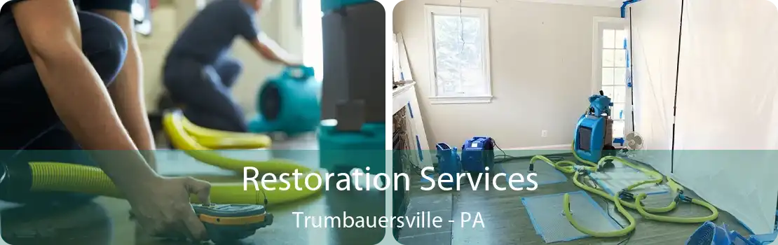 Restoration Services Trumbauersville - PA