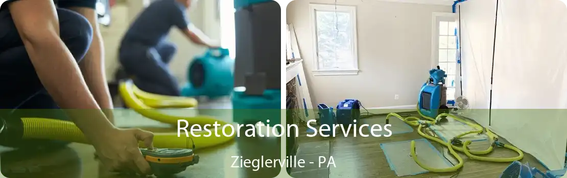 Restoration Services Zieglerville - PA