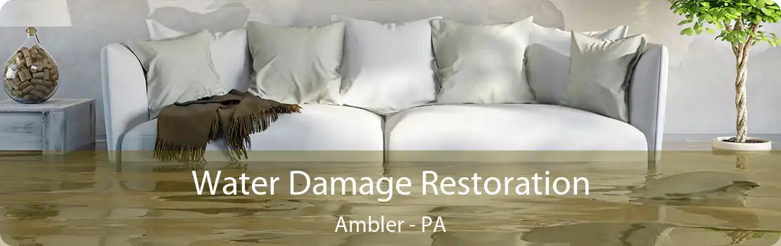 Water Damage Restoration Ambler - PA