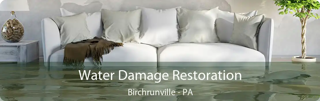 Water Damage Restoration Birchrunville - PA