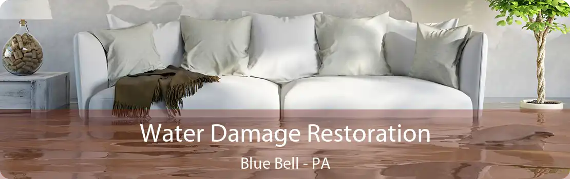 Water Damage Restoration Blue Bell - PA