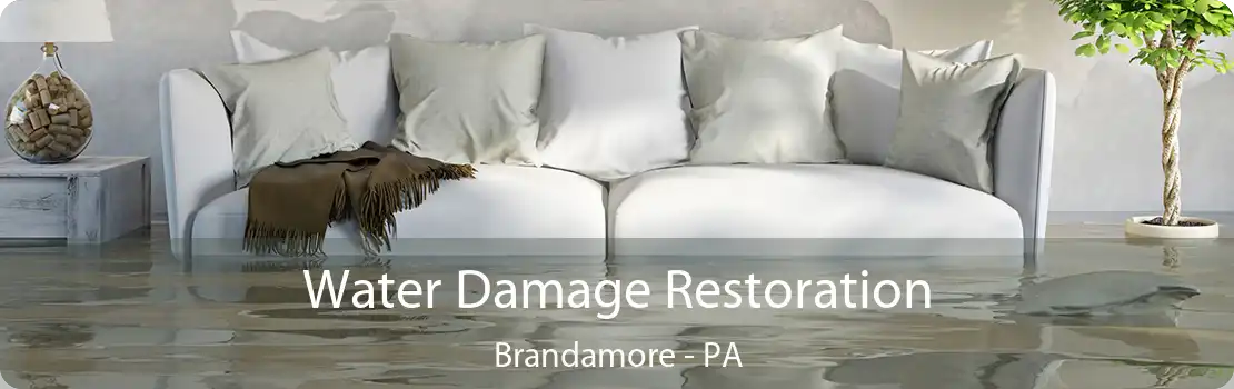 Water Damage Restoration Brandamore - PA