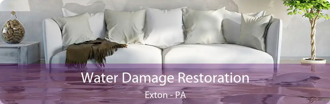 Water Damage Restoration Exton - PA