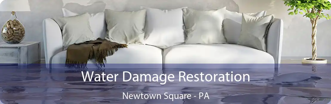 Water Damage Restoration Newtown Square - PA