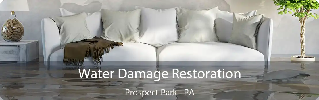 Water Damage Restoration Prospect Park - PA