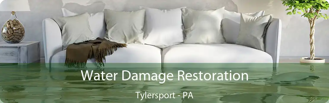 Water Damage Restoration Tylersport - PA