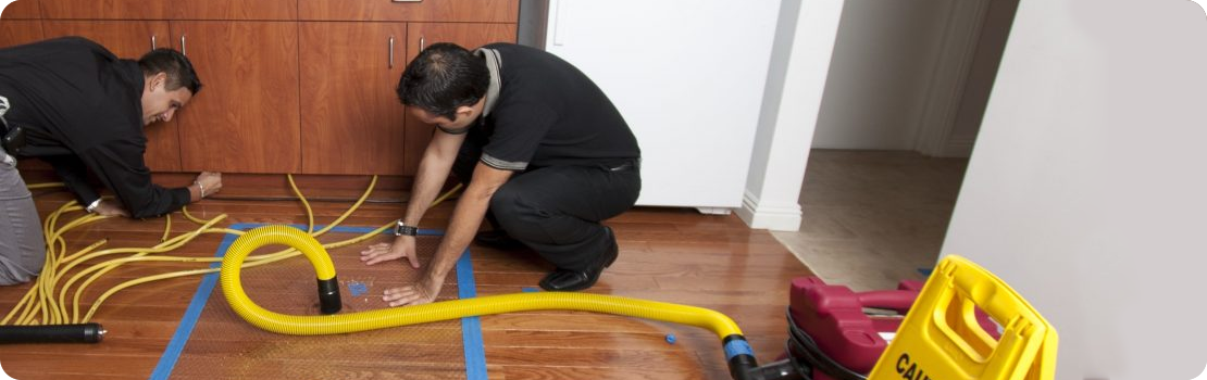 Water Damage Repair in Clifton Heights