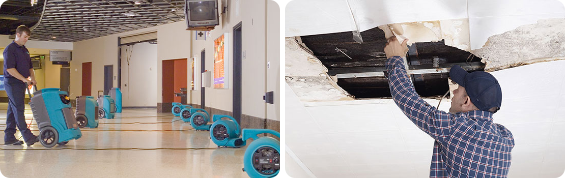 Water Damage Remediation in Thornton