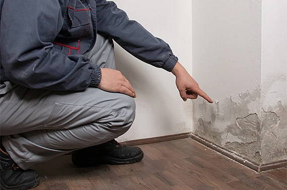 restoration services in Clifton Heights