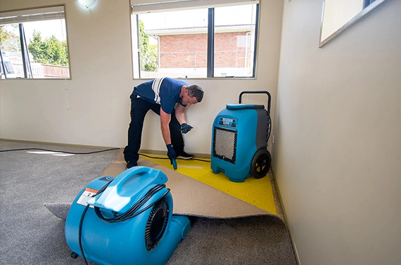 Water Damage Restoration Services in Clifton Heights